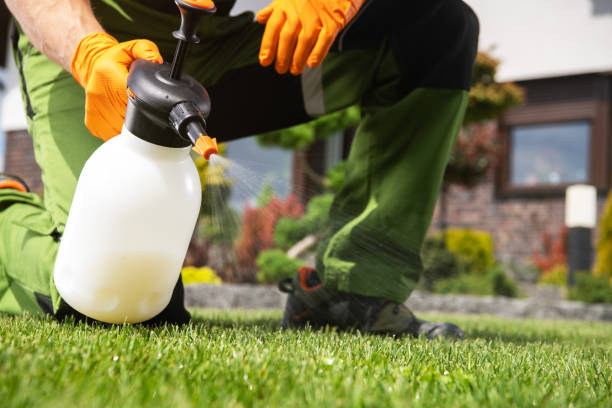Best Exterminator Services  in Vermilion, OH
